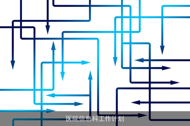 医院信息科工作计划