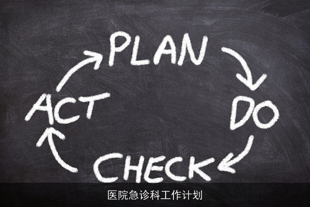 医院急诊科工作计划