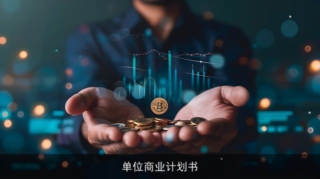 单位商业计划书