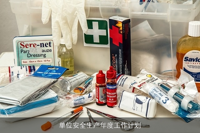 单位安全生产年度工作计划