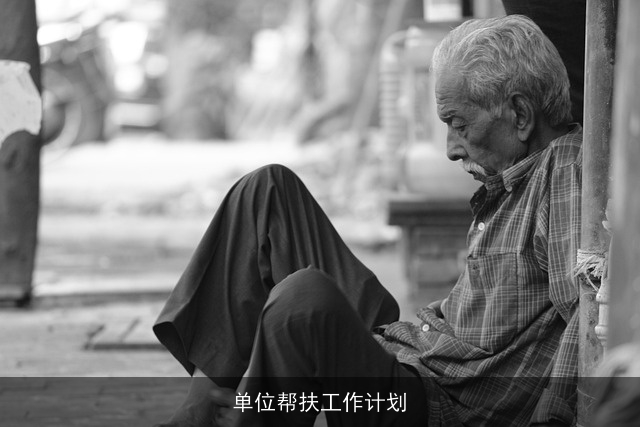 单位帮扶工作计划