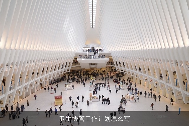 卫生协管工作计划怎么写