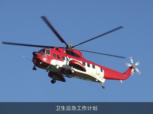 卫生应急工作计划