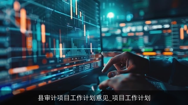 县审计项目工作计划意见_项目工作计划