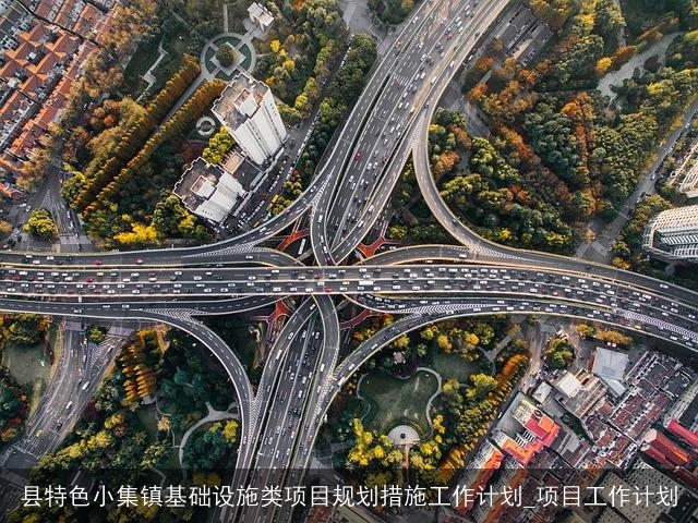 县特色小集镇基础设施类项目规划措施工作计划_项目工作计划