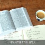 司法局年度工作计划范文