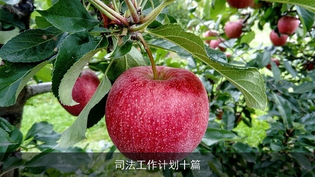 司法工作计划十篇