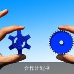 合作计划书