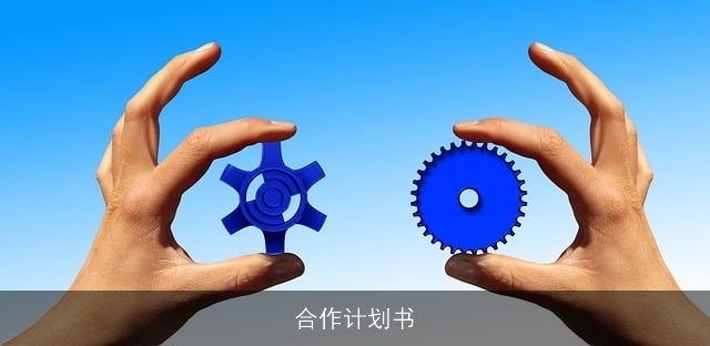 合作计划书