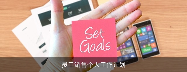 员工销售个人工作计划