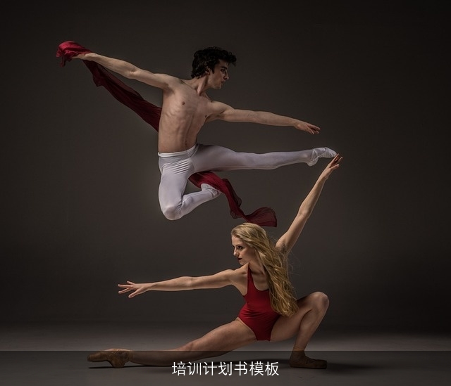 培训计划书模板