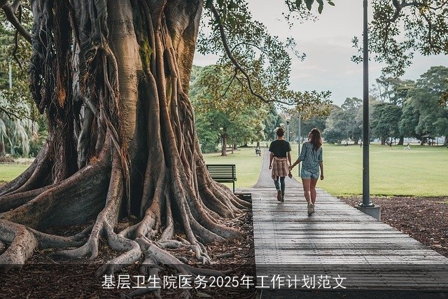 基层卫生院医务2025年工作计划范文