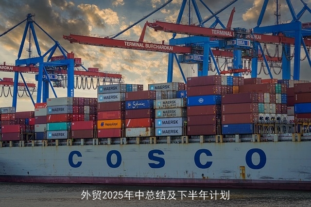外贸2025年中总结及下半年计划