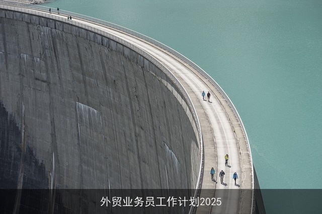 外贸业务员工作计划2025