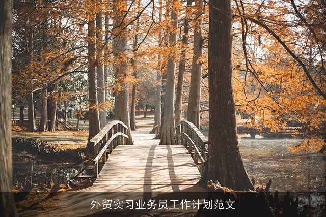 外贸实习业务员工作计划范文