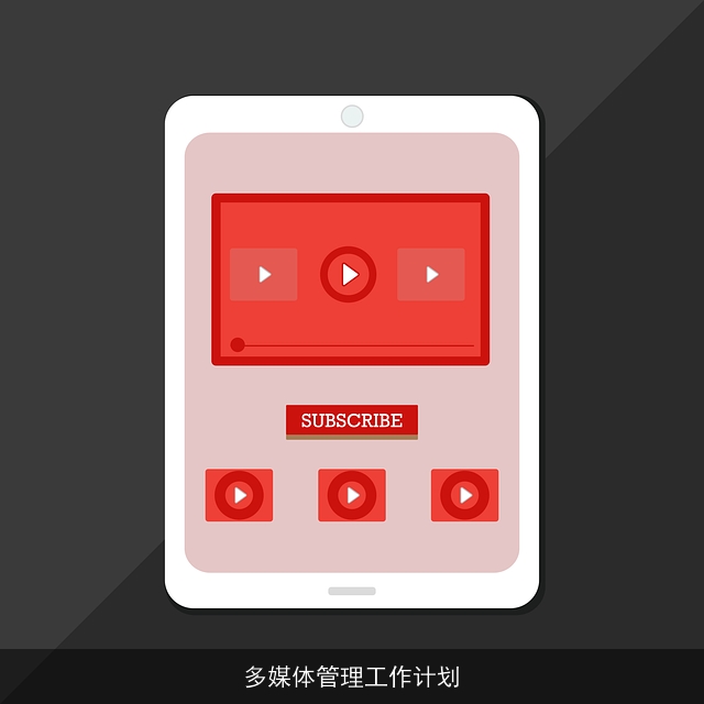 多媒体管理工作计划