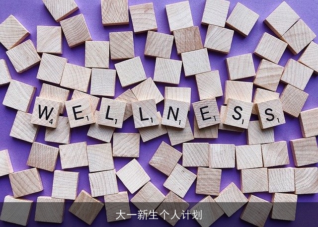 大一新生个人计划