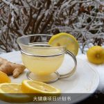 大健康项目计划书