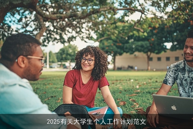 2025有关大学生个人工作计划范文
