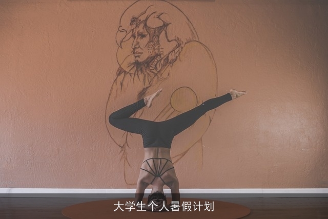大学生个人暑假计划