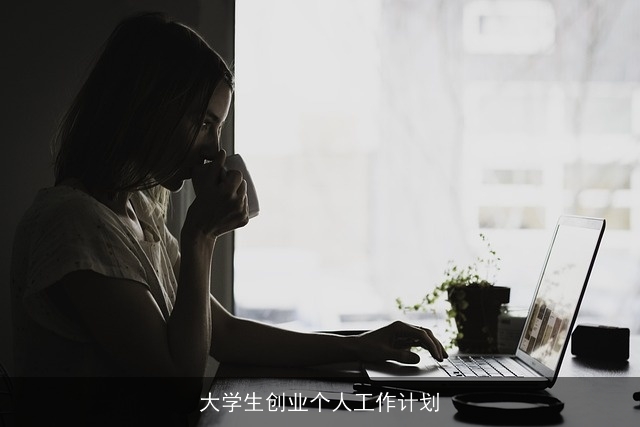 大学生创业个人工作计划