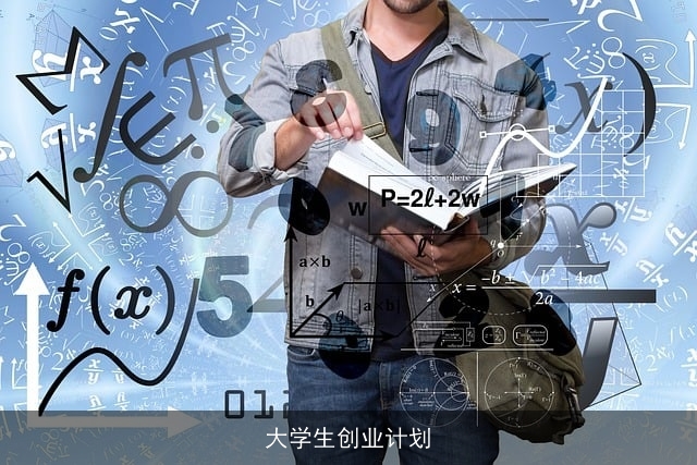 大学生创业计划