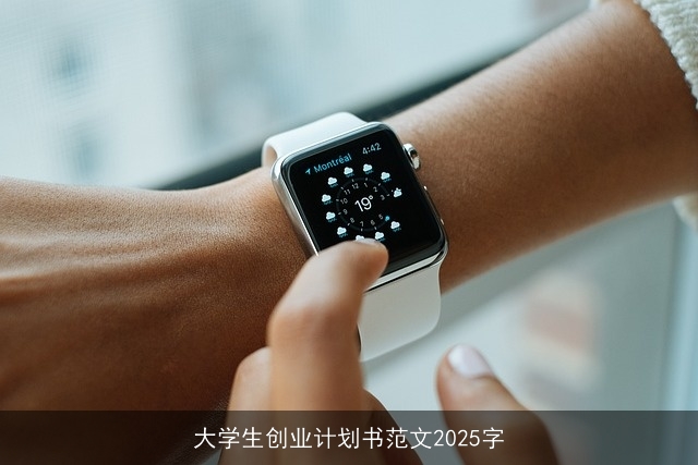大学生创业计划书范文2025字