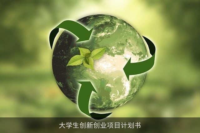 大学生创新创业项目计划书