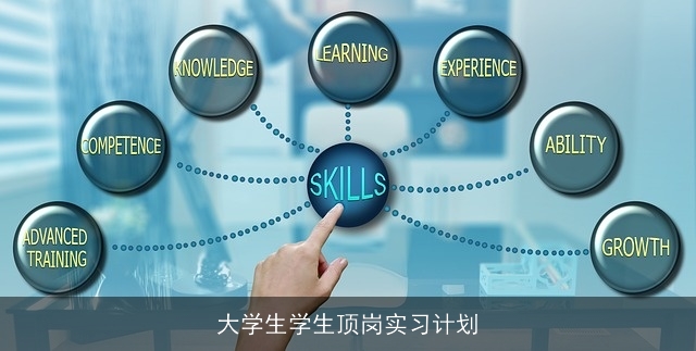 大学生学生顶岗实习计划