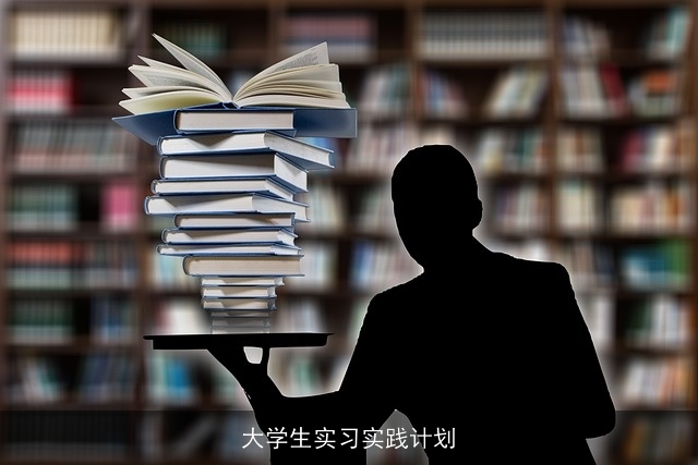 大学生实习实践计划