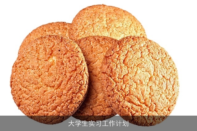 大学生实习工作计划