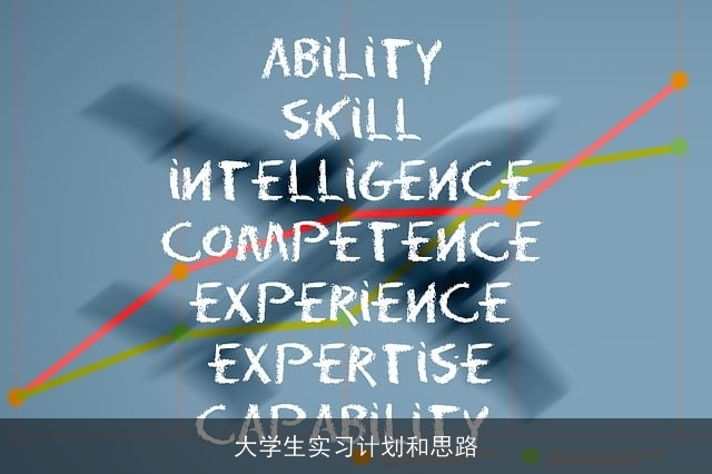大学生实习计划和思路