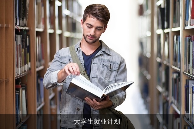大学生就业计划