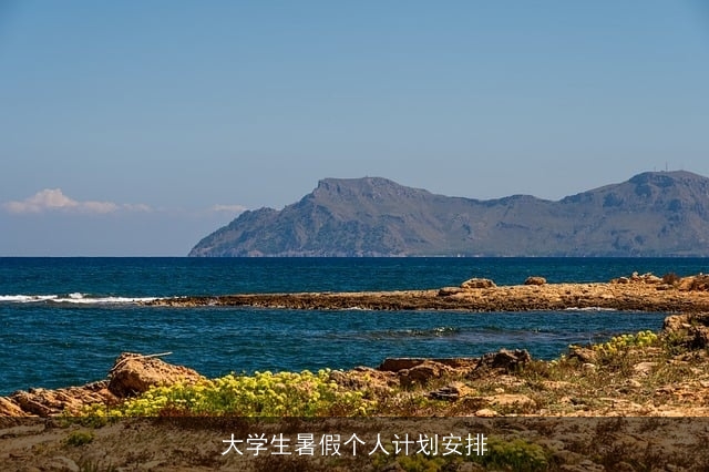 大学生暑假个人计划安排