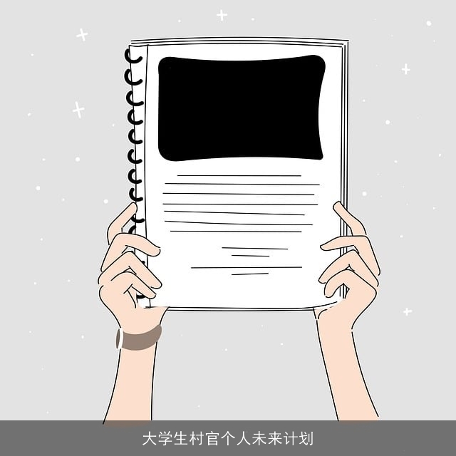 大学生村官个人未来计划