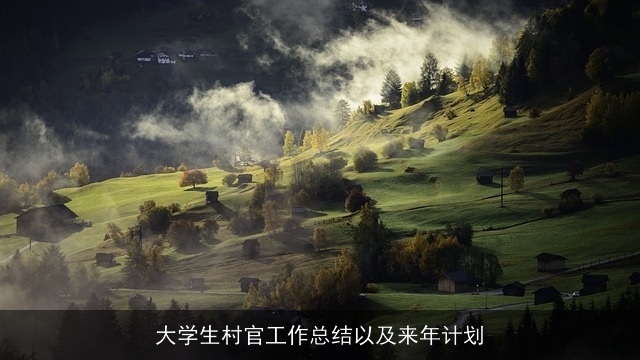 大学生村官工作总结以及来年计划