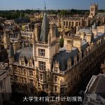 大学生村官工作计划报告