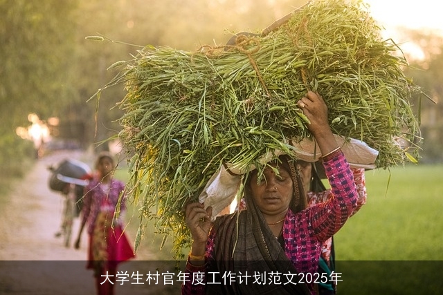 大学生村官年度工作计划范文2025年