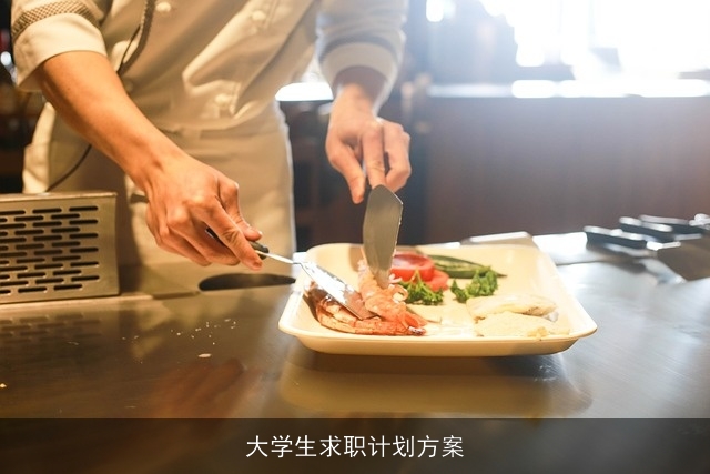 大学生求职计划方案