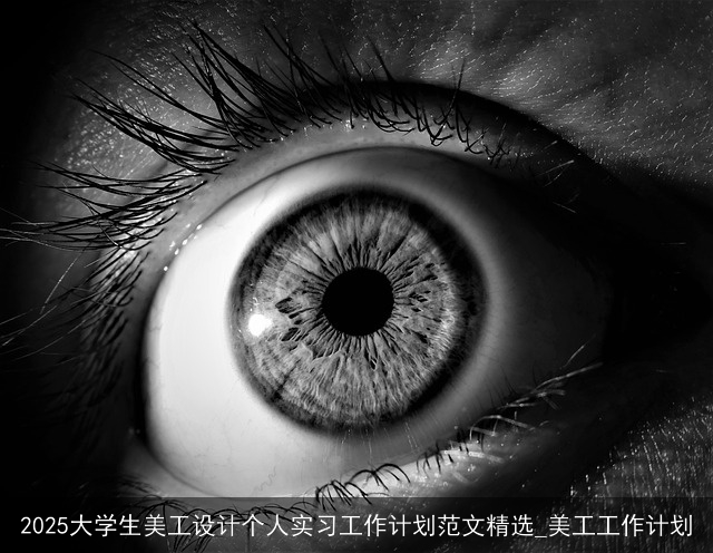 2025大学生美工设计个人实习工作计划范文精选_美工工作计划