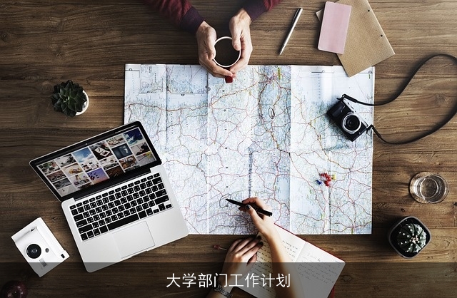 大学部门工作计划