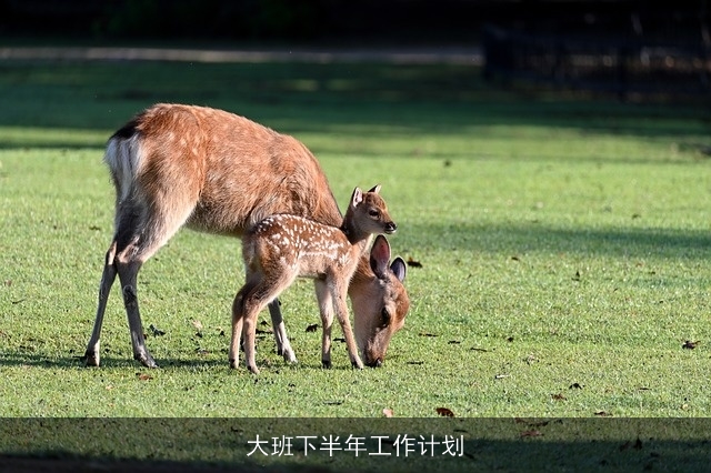 大班下半年工作计划