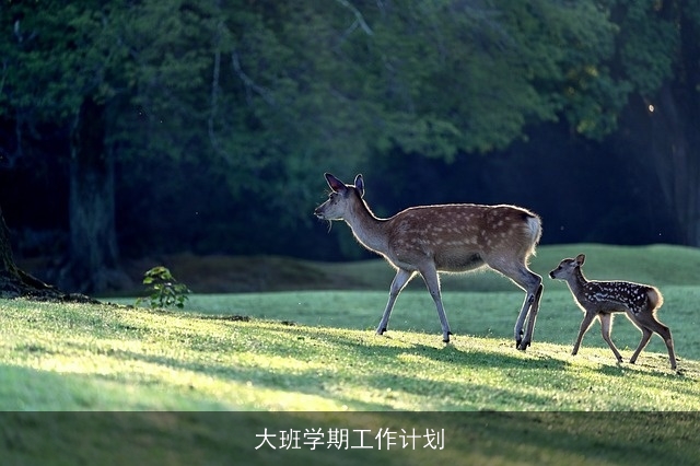 大班学期工作计划