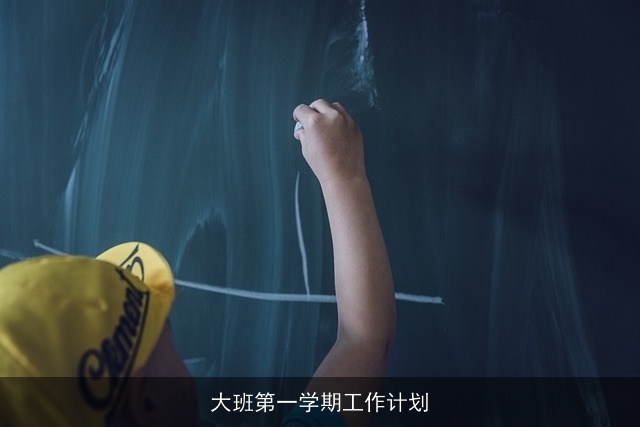 大班第一学期工作计划