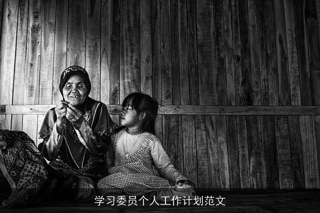 学习委员个人工作计划范文