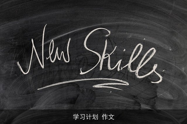 学习计划 作文