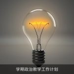 学期政治教学工作计划