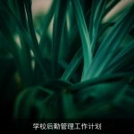 学校后勤管理工作计划