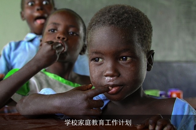 学校家庭教育工作计划