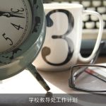 学校教导处工作计划